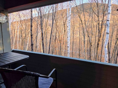 36 Easterly Rd unit 2, Lincoln, NH 03251 - photo 5