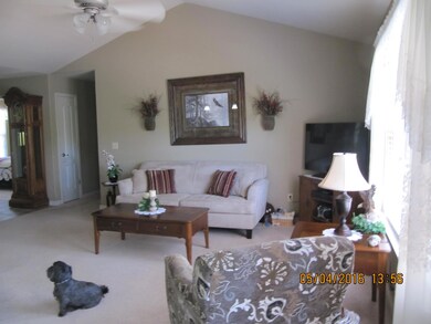 134 Homewood Ln, Kimberling City, MO 65686 - photo 4