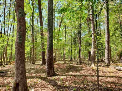 4545 Old Graham Rd, Pittsboro, NC 27312 - photo 5