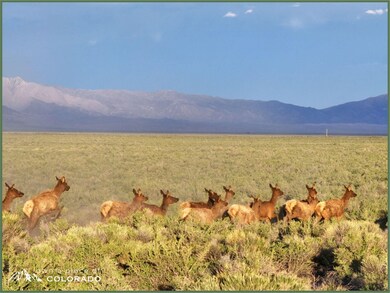 8397 Ln 2 N, Sand Dunes Mo, CO 81101 - photo 2