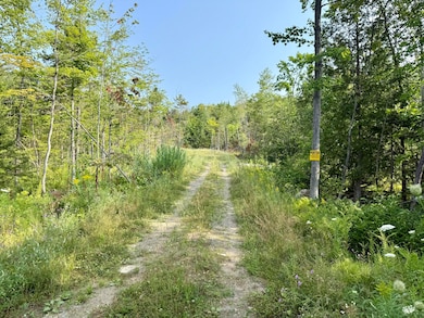 1078 General Leroy Manor Rd, Dannemora, NY 12929 - photo 2