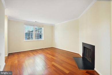 4614 28th Rd S unit B, Arlington, VA 22206 - photo 7