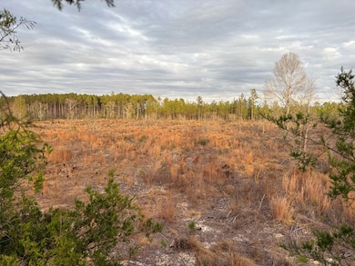 25.29 Acres Alabama 87, Samson, AL 36477 - photo 2