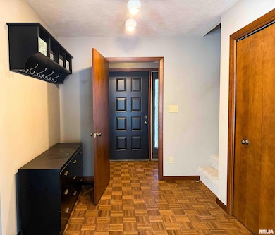 1318 W Featherwood Dr, Dunlap, IL 61525 - photo 4