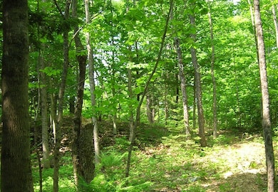 Picture China Maine 4