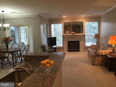 25240 Lake Shore Square unit 203, Chantilly, VA 20152 - photo 7