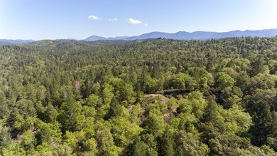 TL100 Lower River Rd, Grants Pass, OR 97526 - photo 6