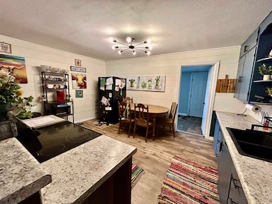 1208 N Front St, Dardanelle, AR 72834 - photo 7