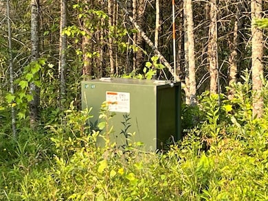 79900 Tarpaper Aly, Brule, WI 54820 - photo 4