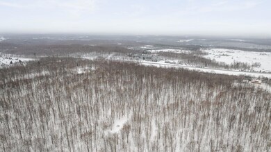 5-web-or-mls-DJI_0464