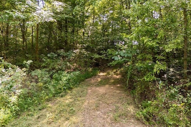 000 Shiloh Rd, Cobden, IL 62920 - photo 4