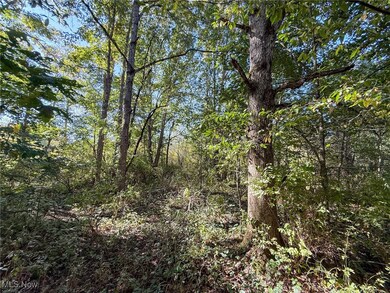 0 Country Rd, Rumley Township, OH 43986 - photo 6