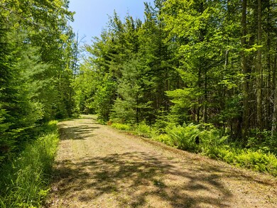 Part of Map 26 Lot 46 & 48 Mullins Bog Rd, Lincolnville, ME 04849 - photo 5