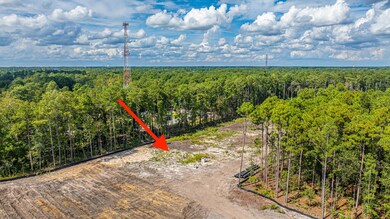 433 Sonny Way, Ladson, SC 29456 - photo 5