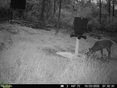 14405 Ohio 83, Coshocton, OH 43812 - photo 5