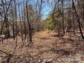 0000 Elliott Ln unit 45 & 48, Rutherfordton, NC 28139 - photo 6