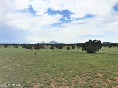 111 Gleed Station Rd, Ash Fork, AZ 86320 - photo 3