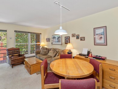 210 South Pine Street Fall Line 206-011-
