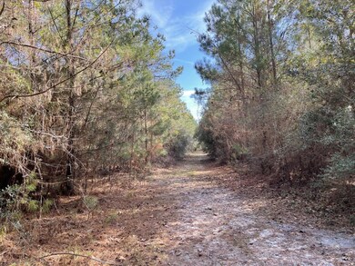 XXX Danley Grade, Crawfordville, FL 32327 - photo 5