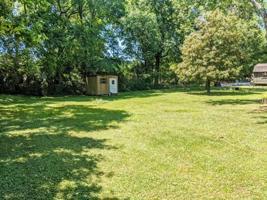 Back Yard 2