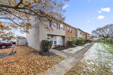 6-web-or-mls-DSC04730