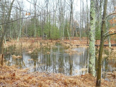 1414 Beaver Rd, Lilley Township, MI 49309 - photo 3