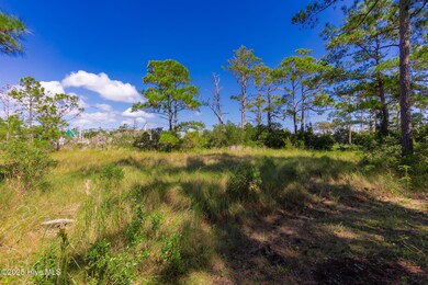 100 Pintail Ln, Harkers Island, NC 28531 - photo 4