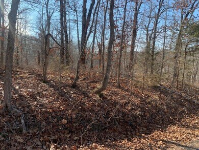 Lot 41 Morley Dr, Bella Vista, AR 72714 - photo 2