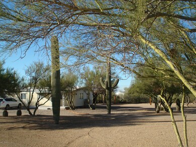 DSC05696