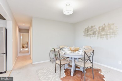 49 Skyhill Rd unit 203, Alexandria, VA 22314 - photo 6
