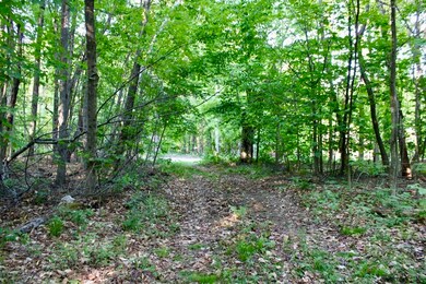 0 Old Stage Rd unit 73118454, Ashfield, MA 01330 - photo 3