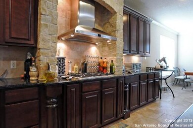 3830 Ox-Eye Daisy, San Antonio, TX 78261 - photo 5