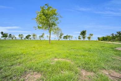 TBD Lot 175 Waterfront Club, Corsicana, TX 75110 - photo 5