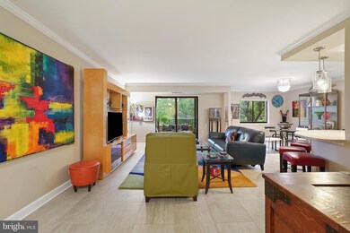 Montebello unit 305, Alexandria, VA 22303 - photo 6