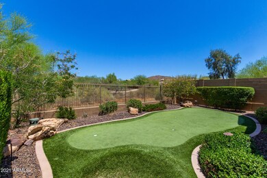 Backyard View D