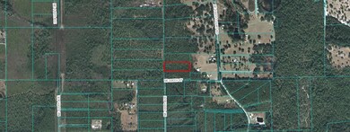 ARIEL SHOWING ADJACENT TRACTS