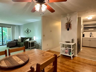 19 Saco St unit 59, Center Conway, NH 03813 - photo 4