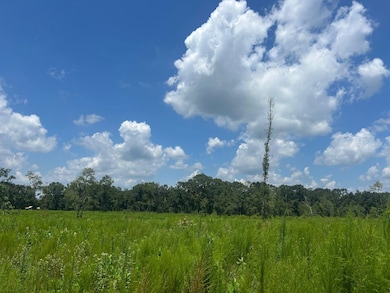 0 Creel Rd unit 22879265, Theodore, AL 36582 - photo 4