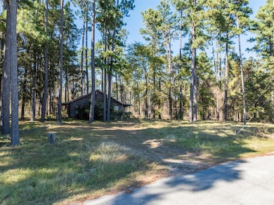 17151 Pintail Dr, Flint, TX 75762 - photo 5