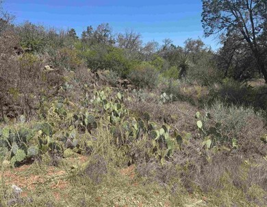 Lot 56 War Bonnet Ridge, Kingsland, TX 78639 - photo 5