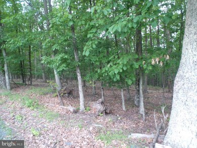 0 Timber Ridge unit WVMO115470, Berkeley Springs, WV 25411 - photo 3