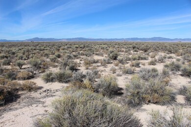 IMG_9725 - Copy