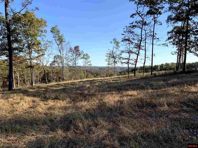 00 Tomahawk Slab Rd, Saint Joe, AR 72675 - photo 4