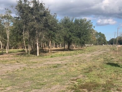 3532 County Road 326 Lot 9, Alvin, TX 77511 - photo 4