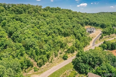 4495 Kingfisher Ct, Augusta, MO 63332 - photo 7