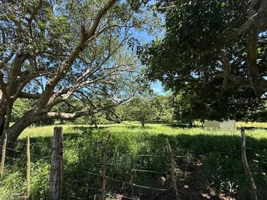 0 unit MFRPR9117243, Cabo Rojo, PR 00623 - photo 7