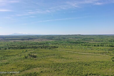DJI_0217