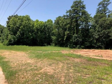 209 Pinegrove Dr, Pineville, LA 71360 - photo 4