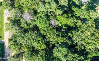 dji_fly_20240712_092918_501_172079456799