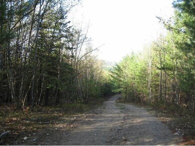 long lot with trails to water